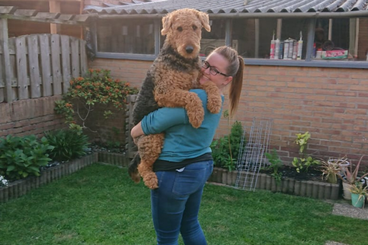 Balou