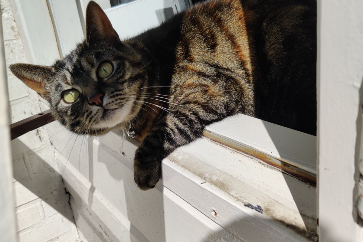 Luna