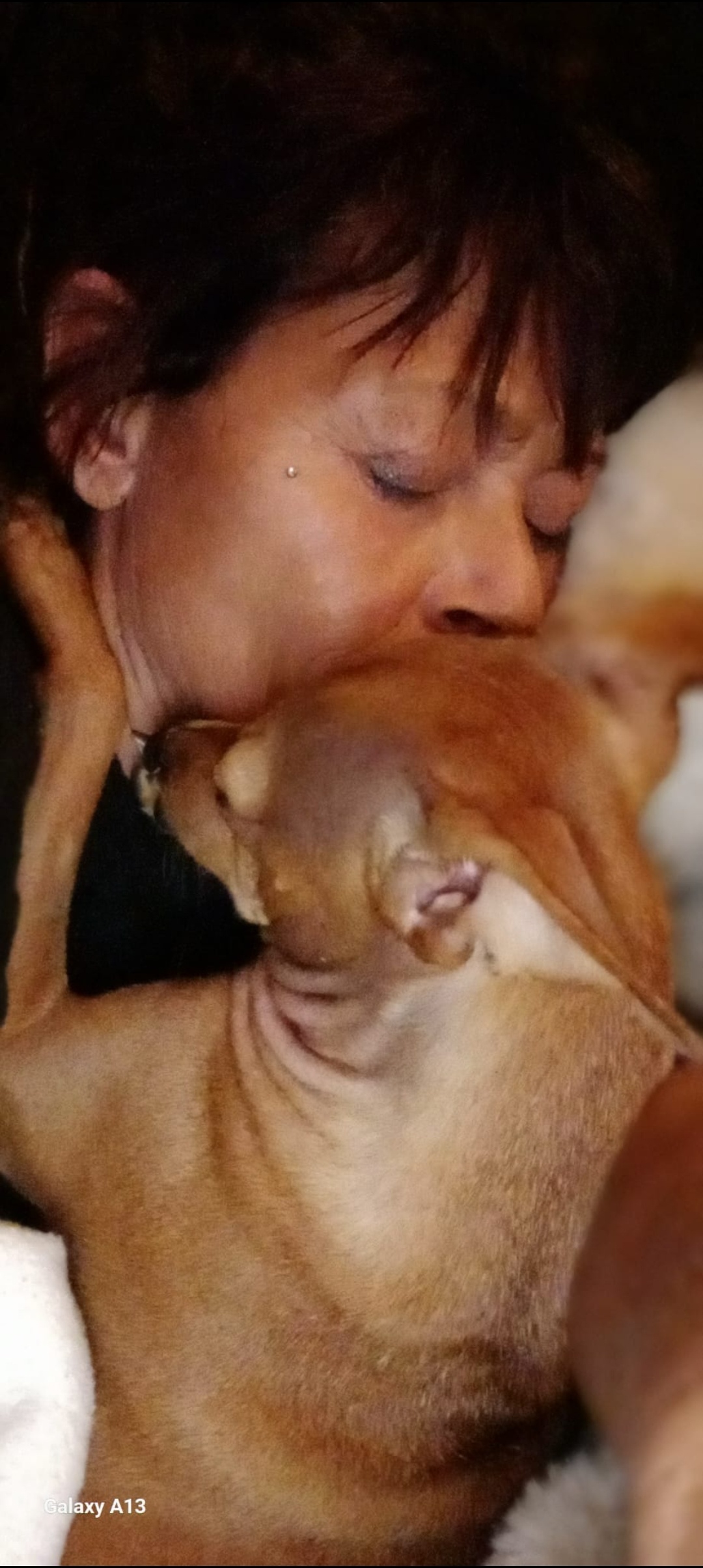 Angelique1168@gmail.com