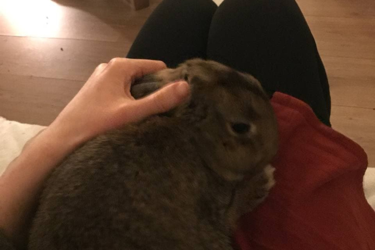 Almond