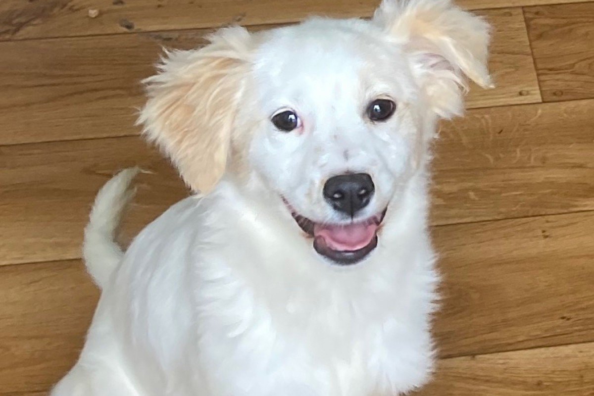 Bella