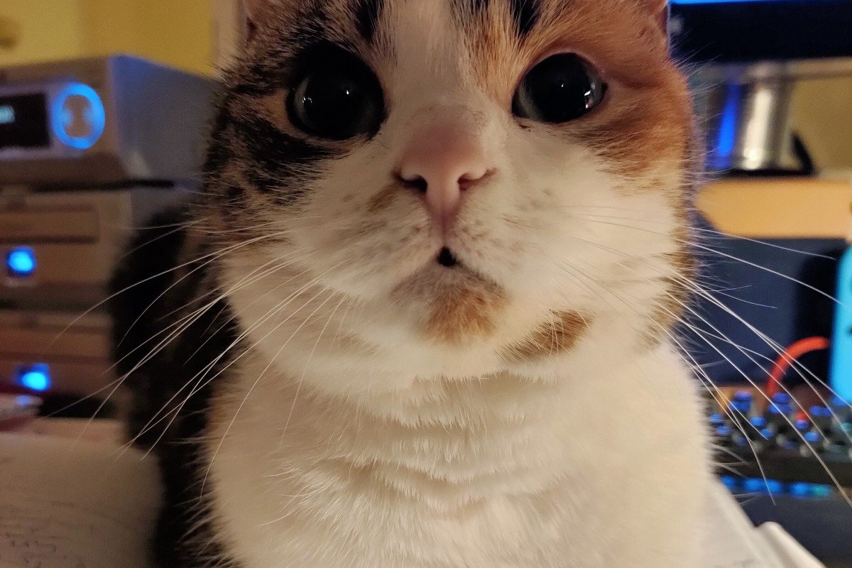 Izzy