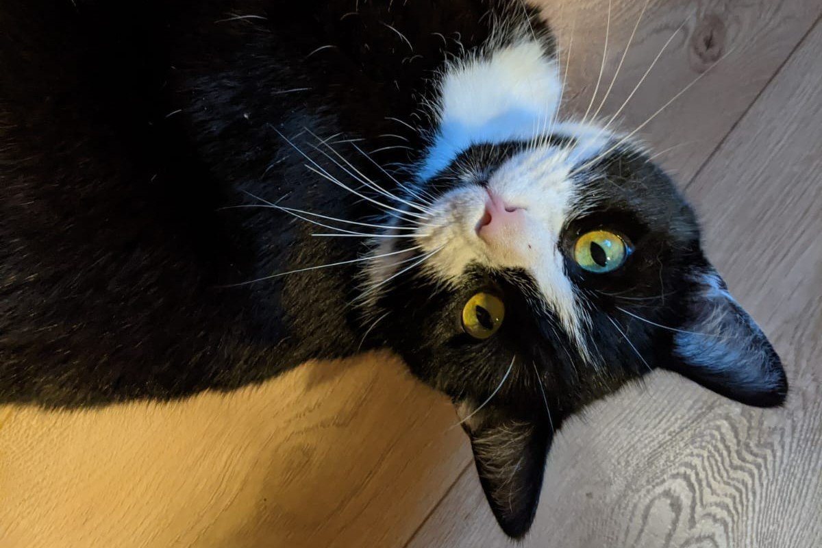 Bob