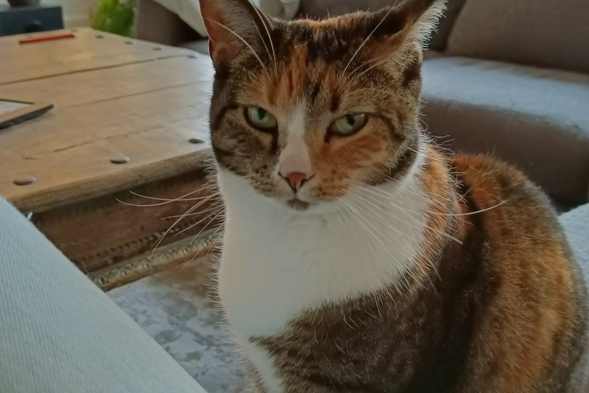 Tyra