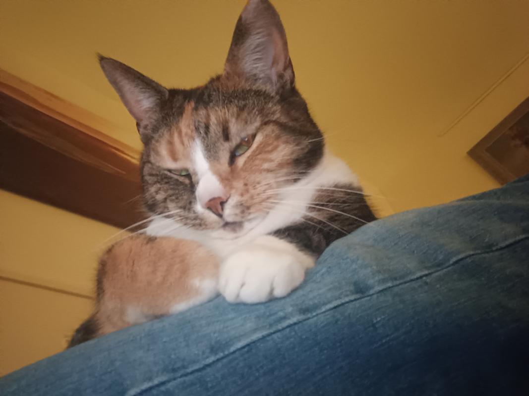 Tyra
