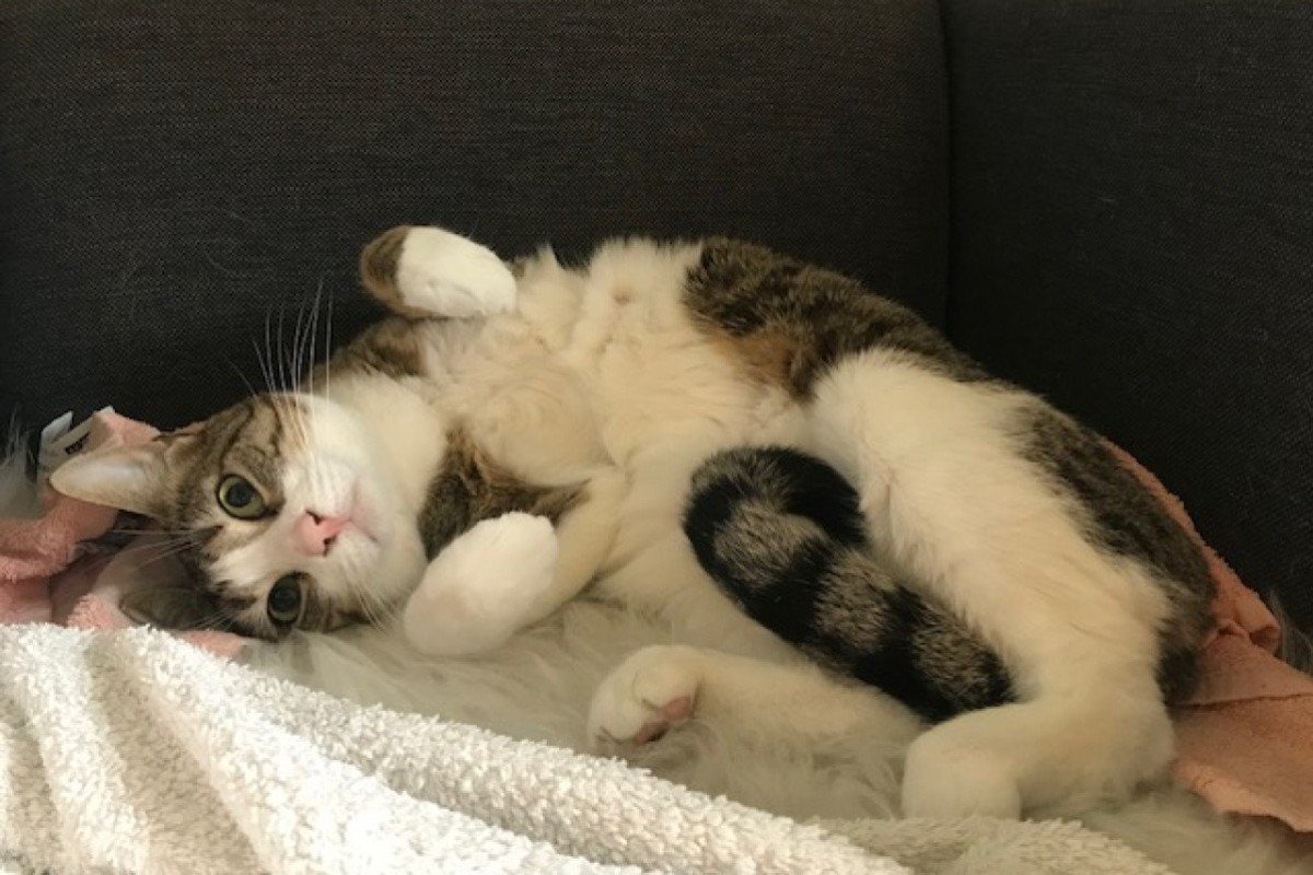 NOORTJE was OP 09-11 TE ZIEN BIJ EIGEN HUIS & TUIN