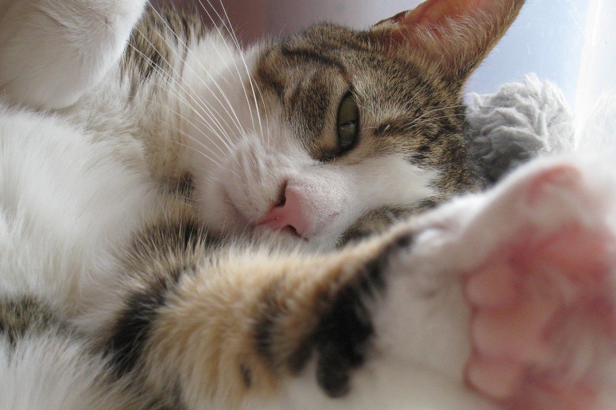 NOORTJE was OP 09-11 TE ZIEN BIJ EIGEN HUIS & TUIN