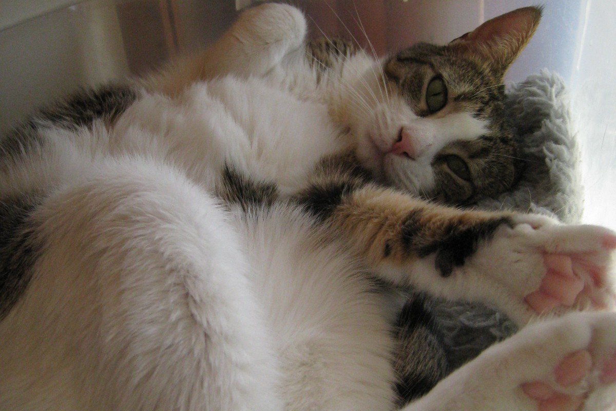 NOORTJE was OP 09-11 TE ZIEN BIJ EIGEN HUIS & TUIN