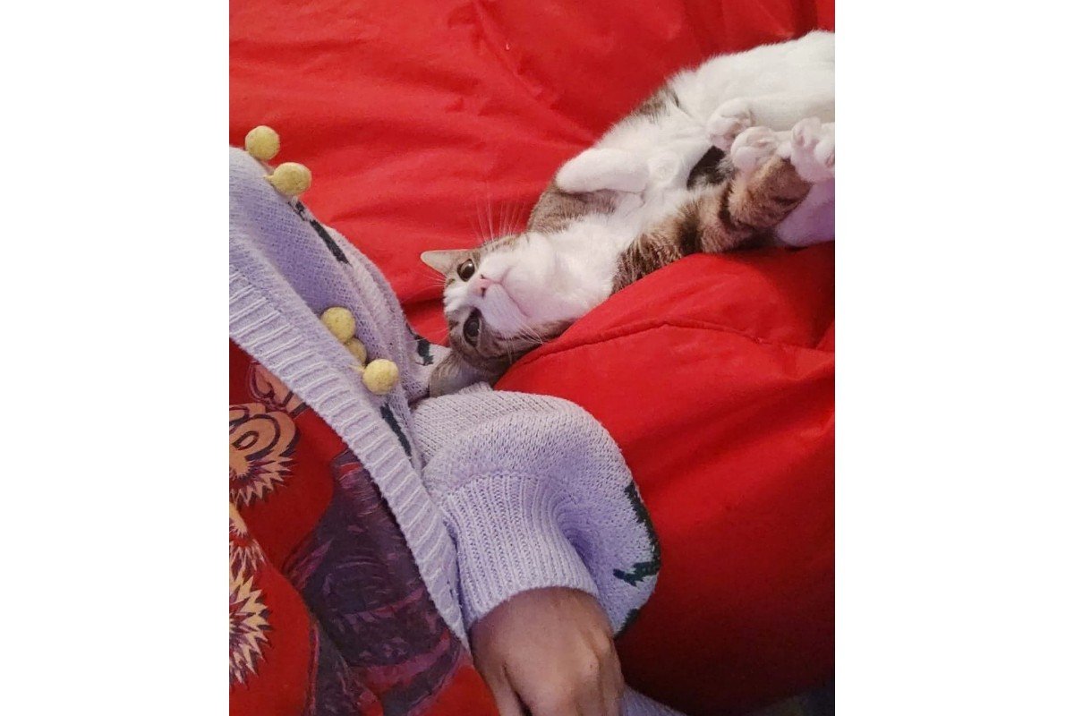 NOORTJE was OP 09-11 TE ZIEN BIJ EIGEN HUIS & TUIN