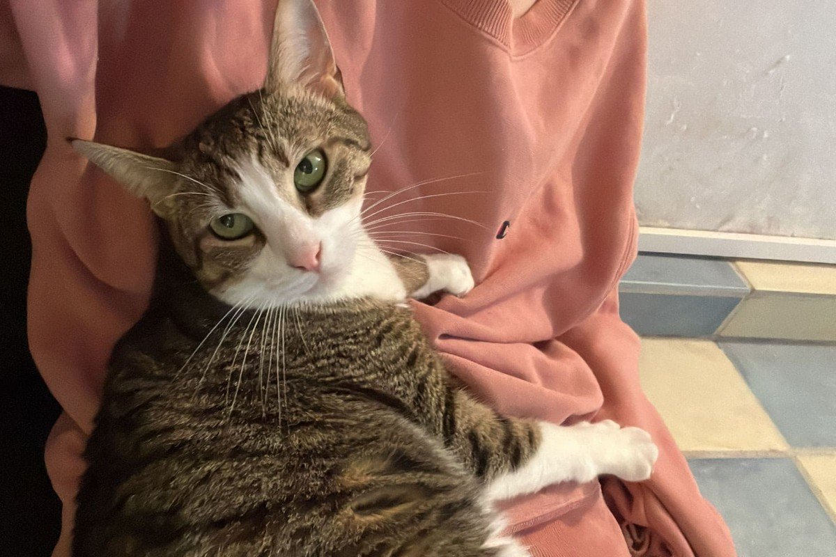 NOORTJE was OP 09-11 TE ZIEN BIJ EIGEN HUIS & TUIN