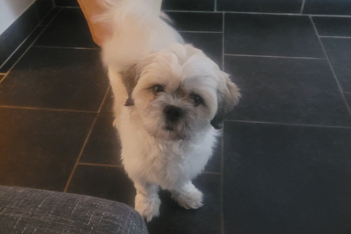 Max