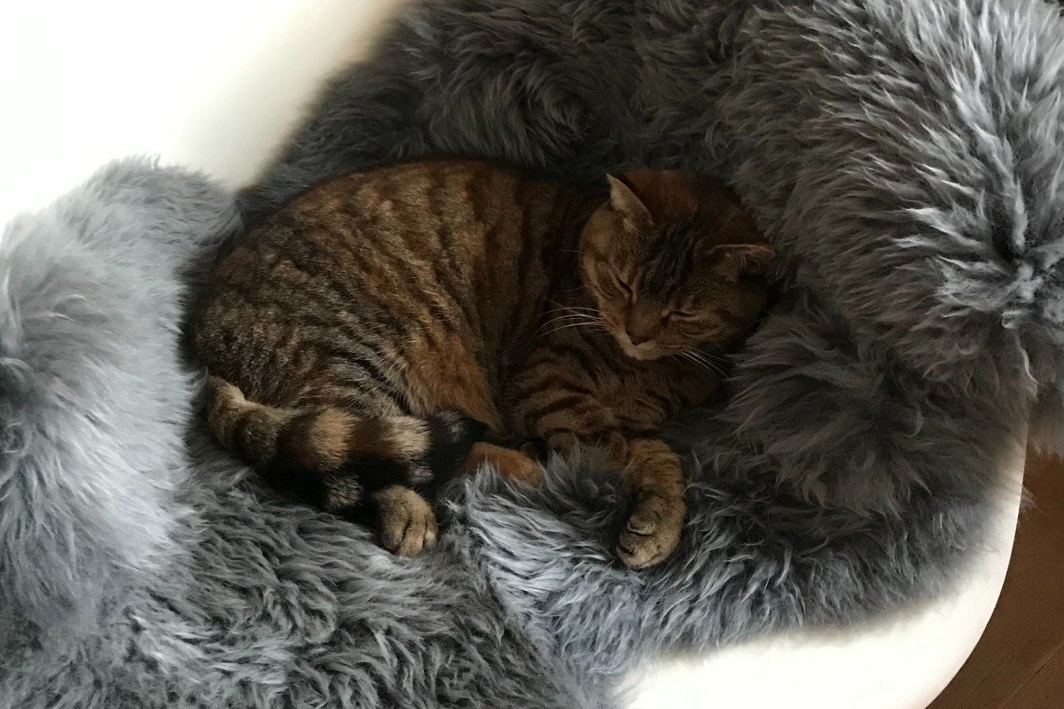 Missy