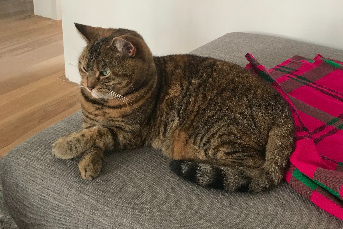 Missy