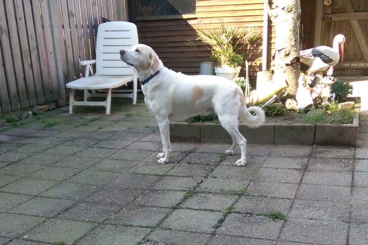 *SPOED* Max