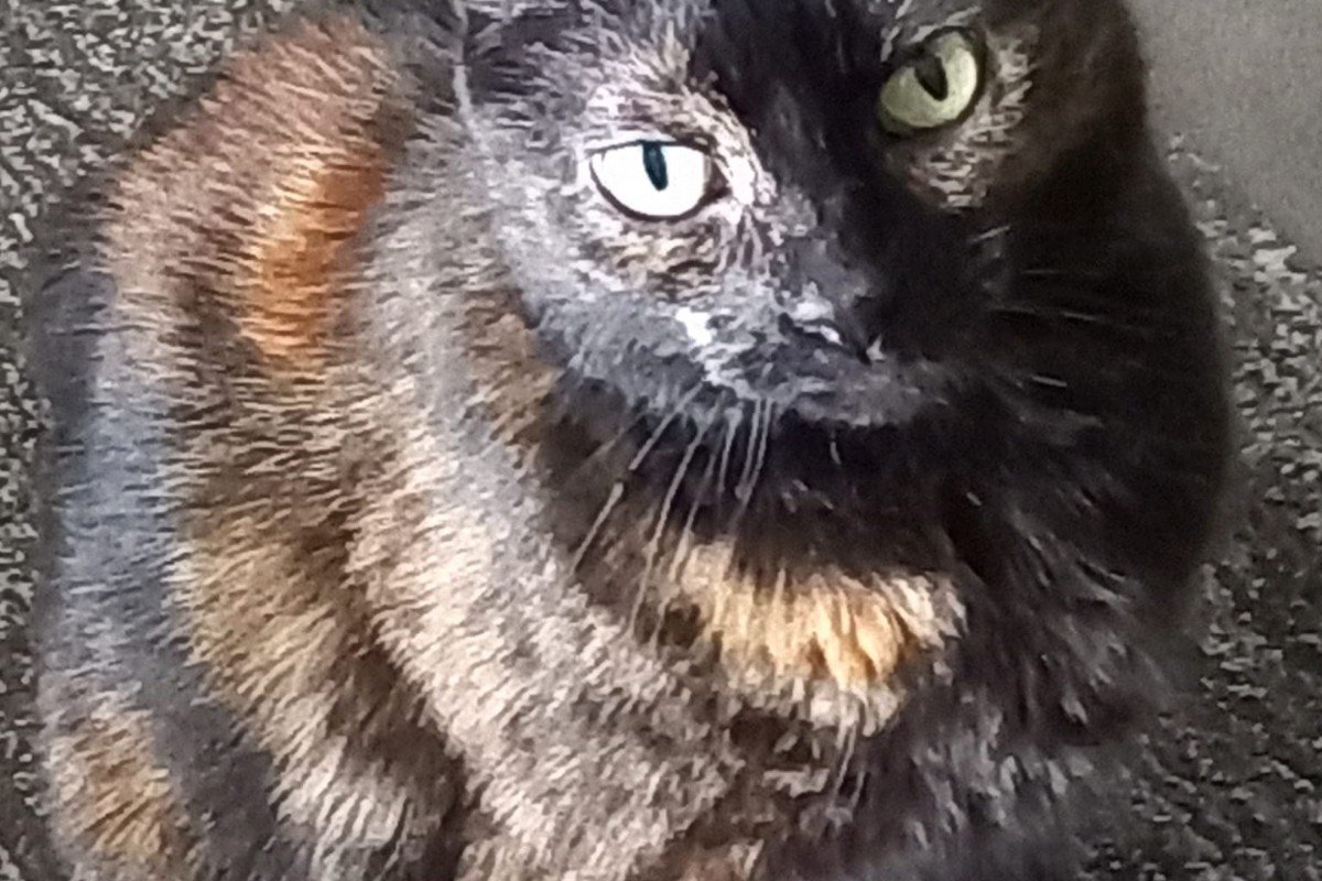 Noortje