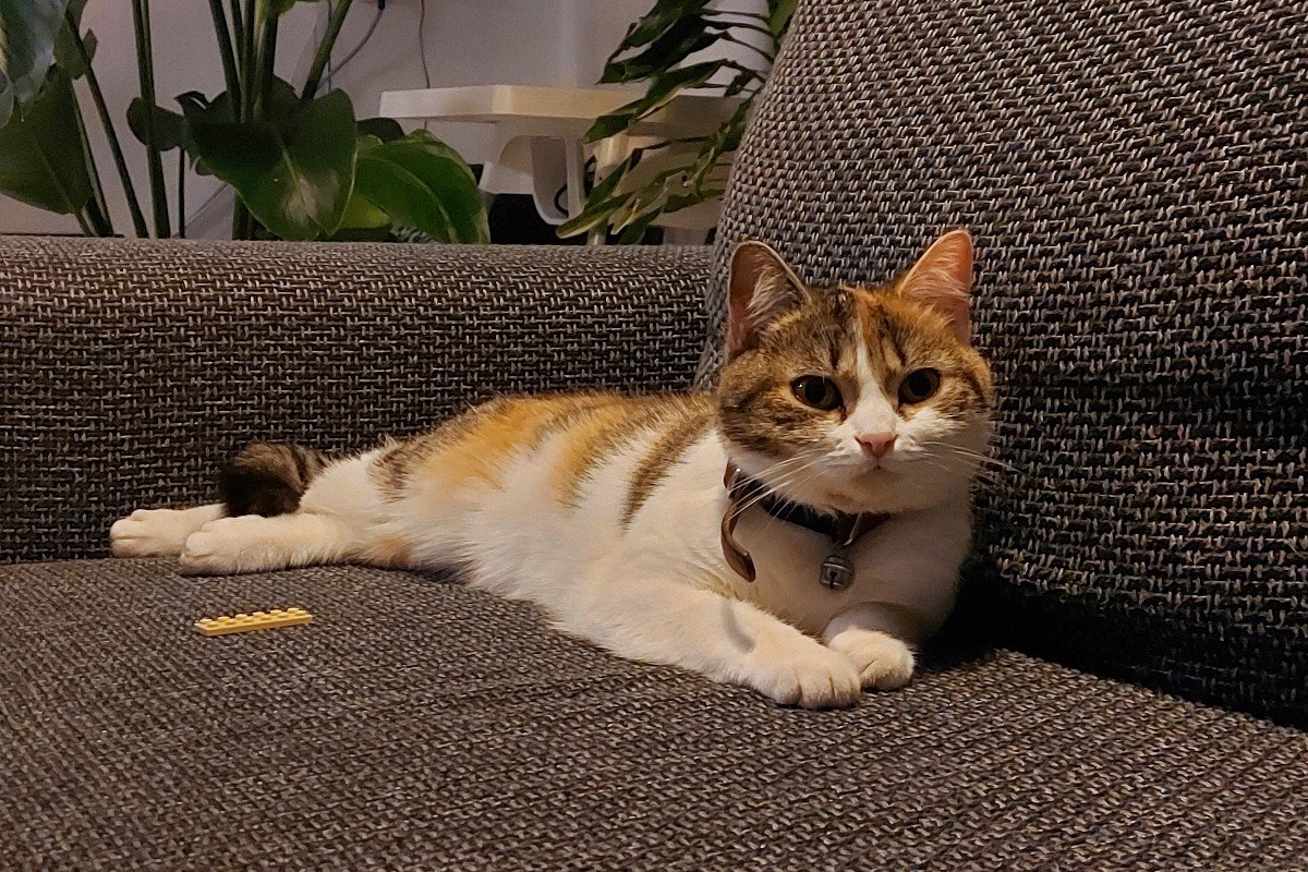 Zoe Kiana