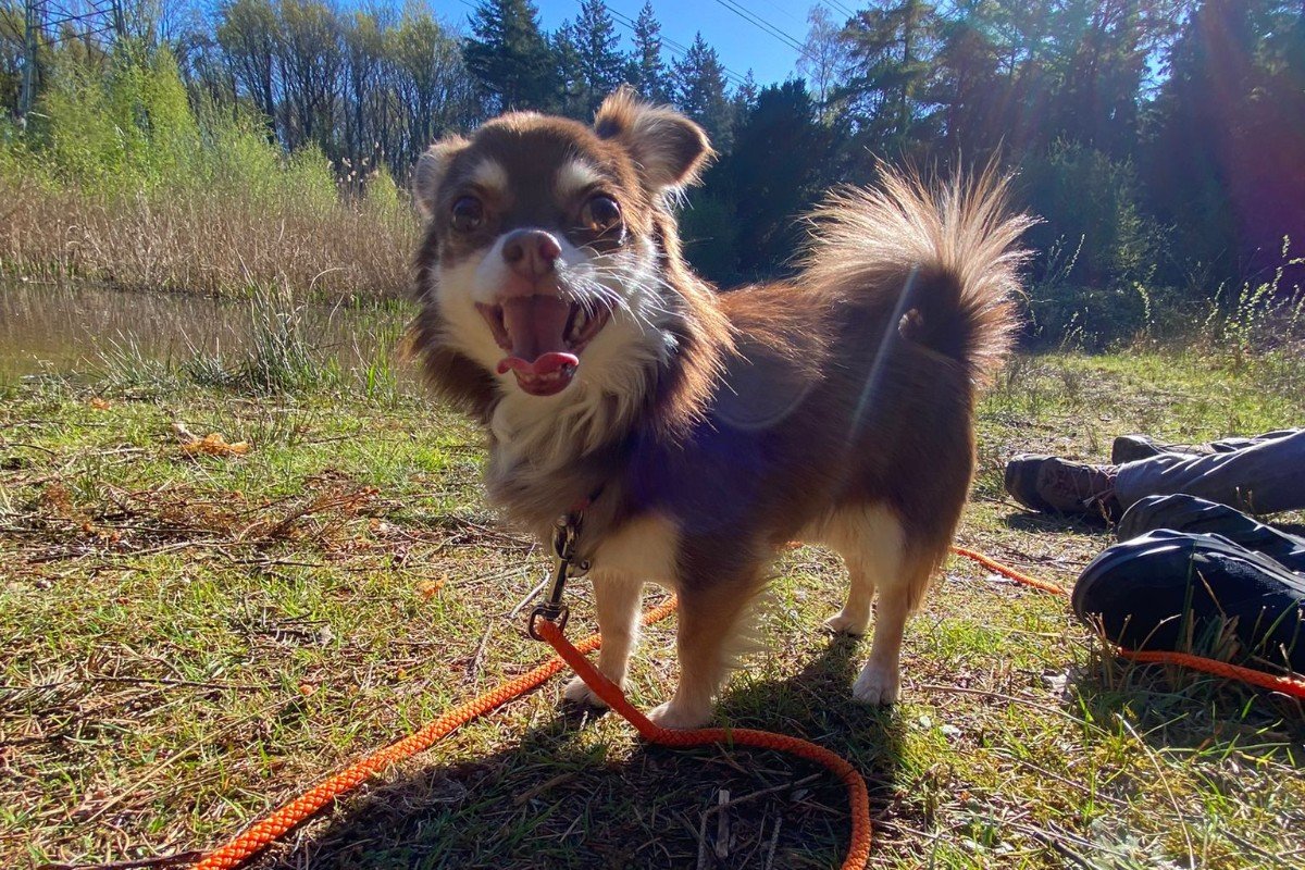 Coco