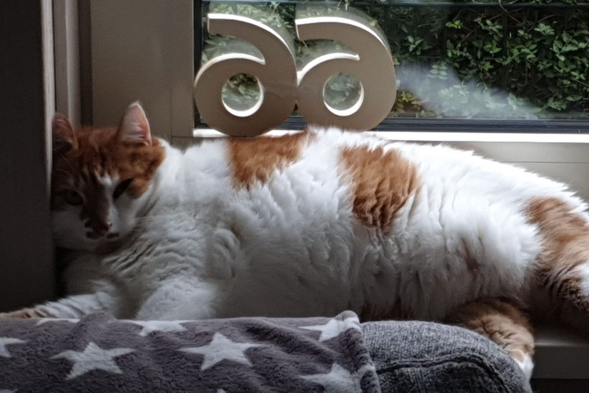 Felix
