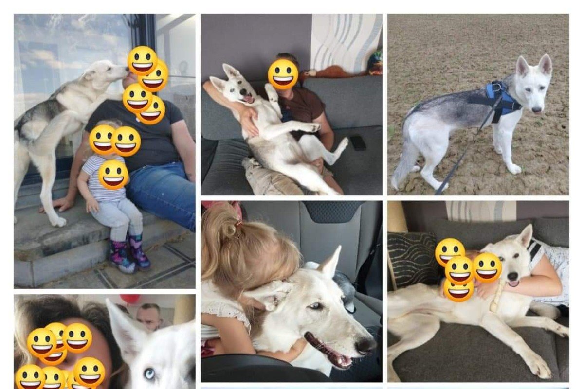 Loeka