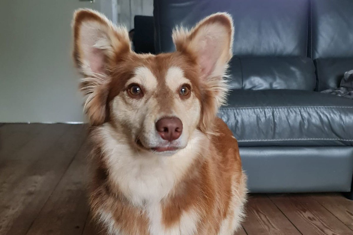 Vera
