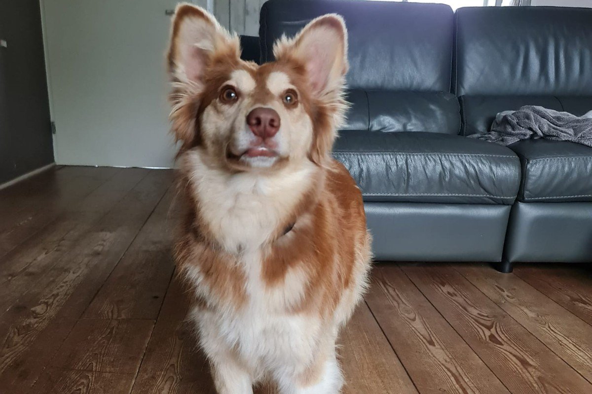 Vera