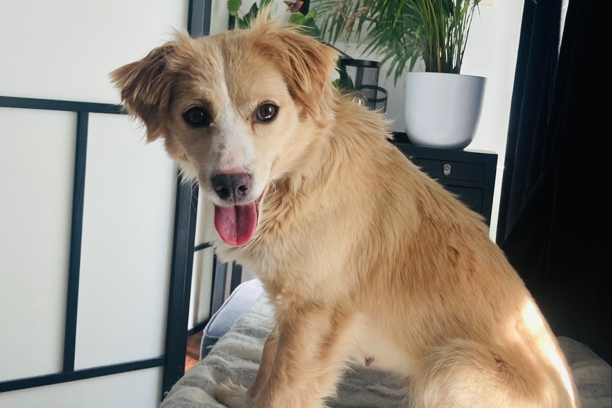 Coco