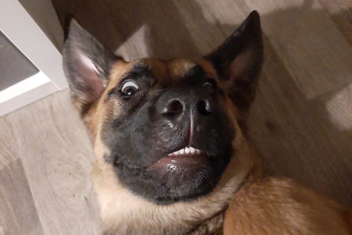 Beau