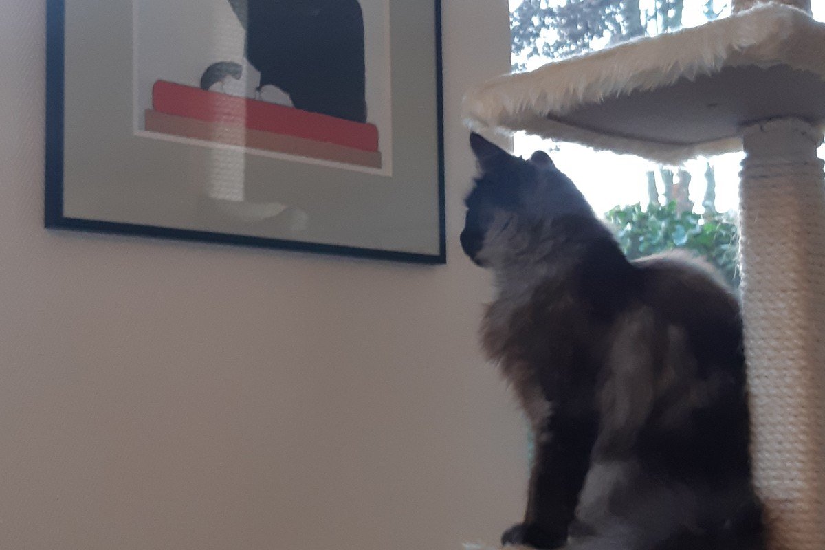 Zappa