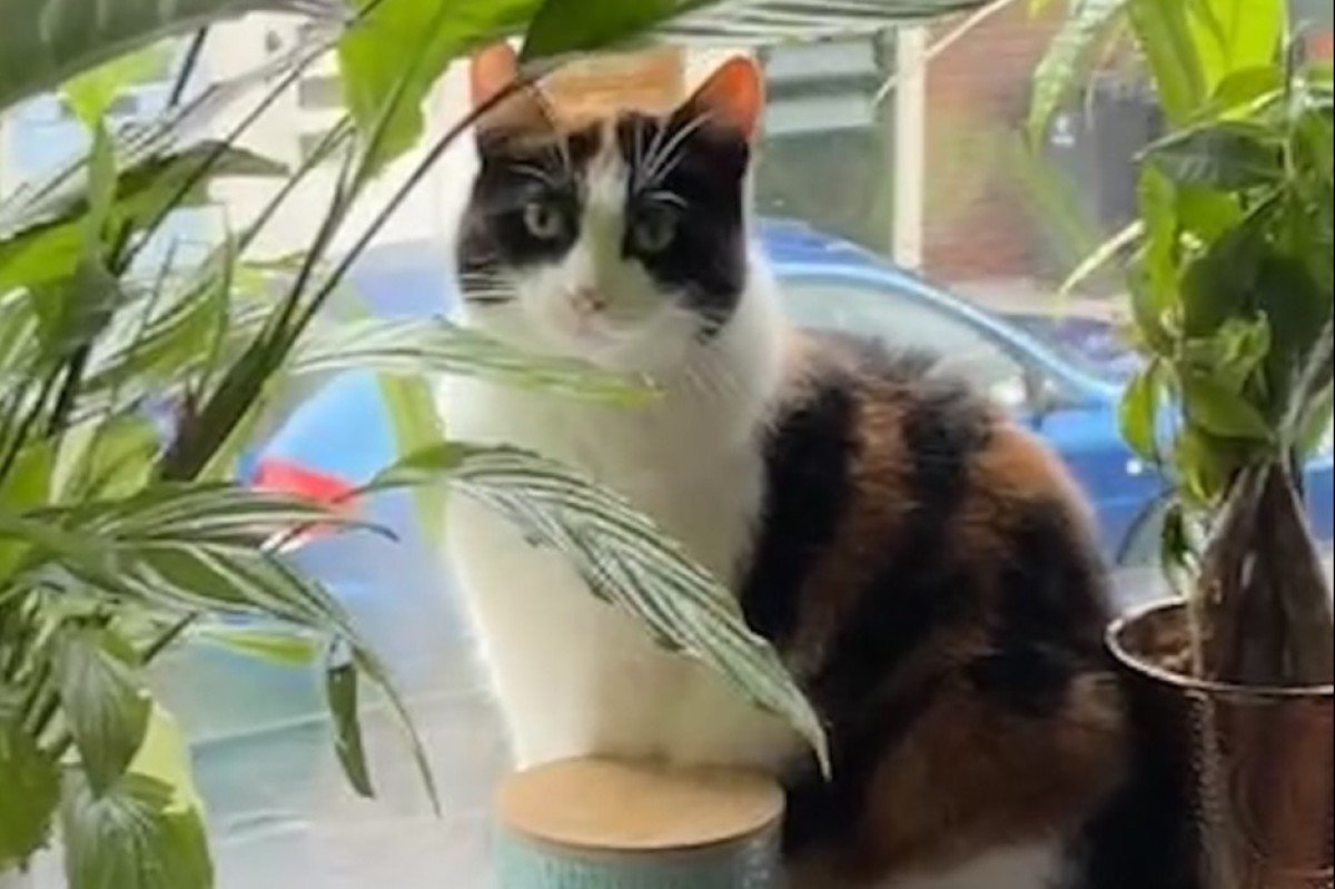 Loetje