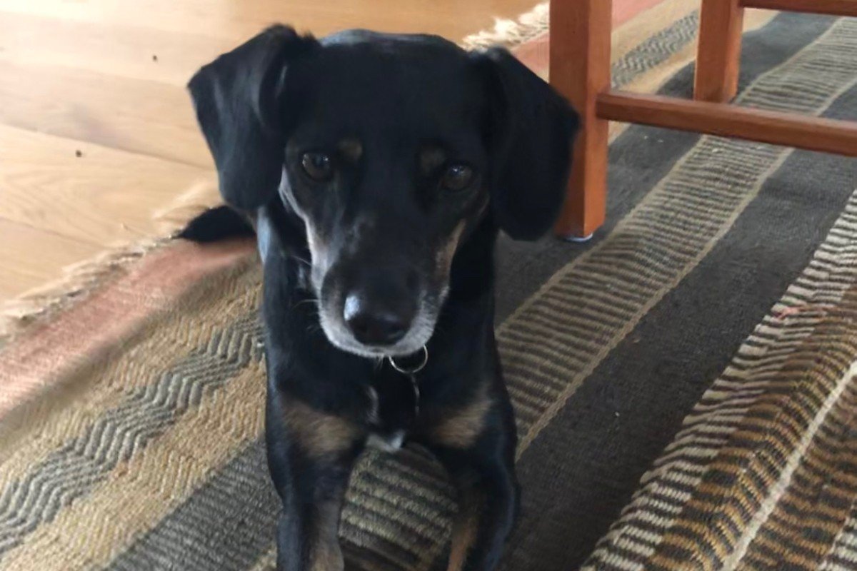 Kali
