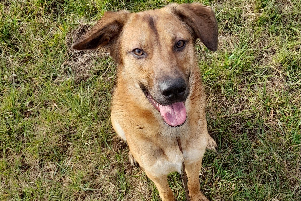 Marley