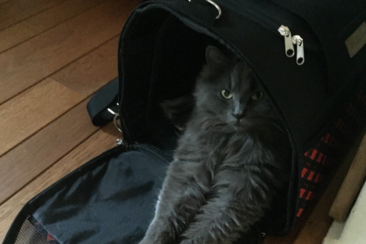 Yuki