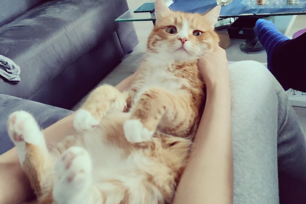 Milo