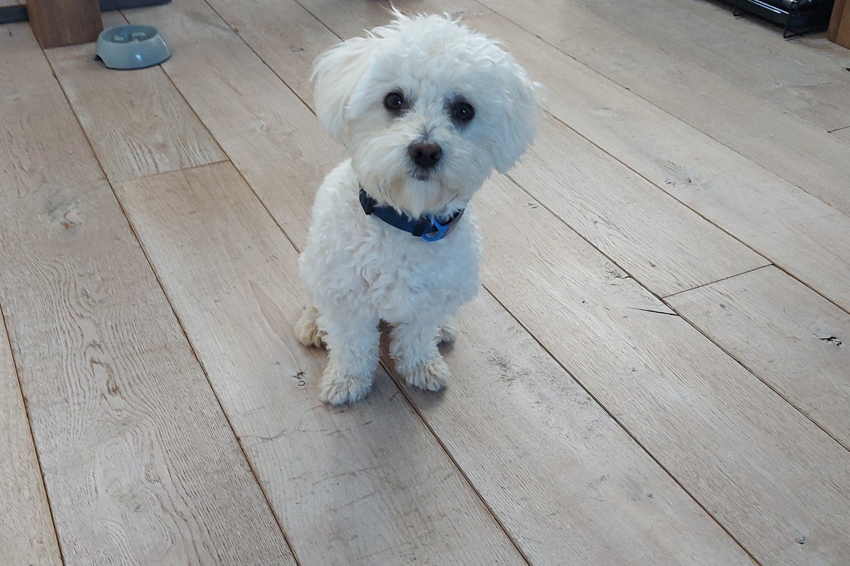Max