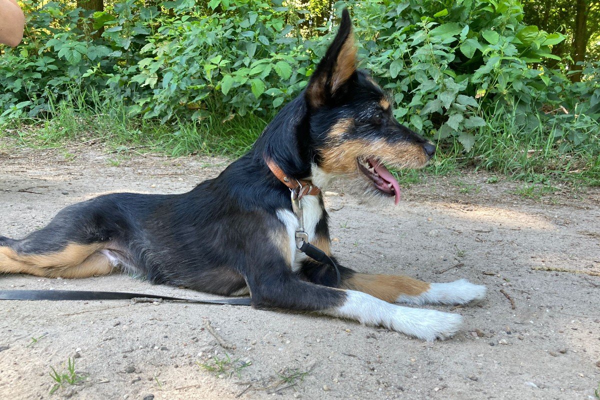 Pablo