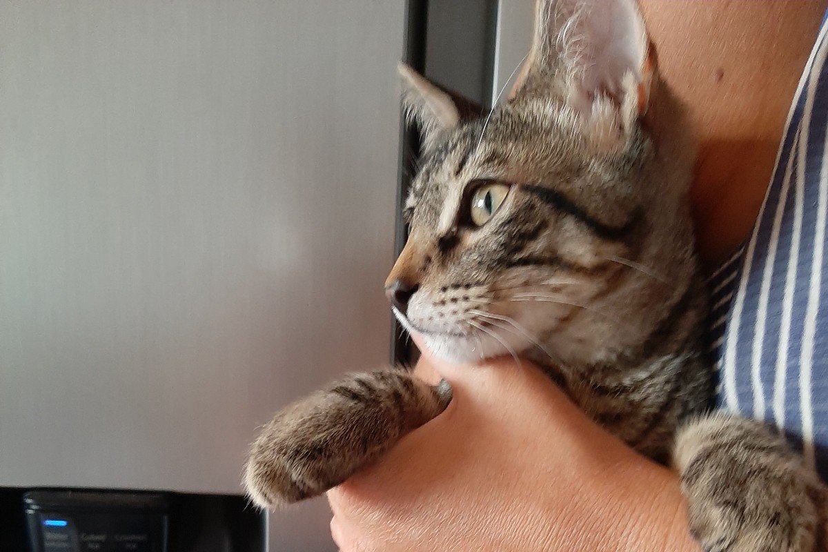 Odin