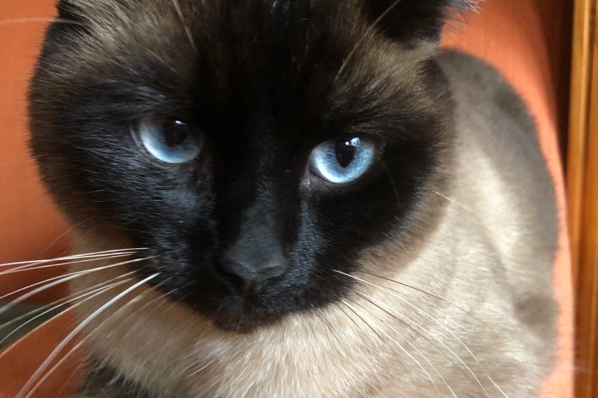 Milow