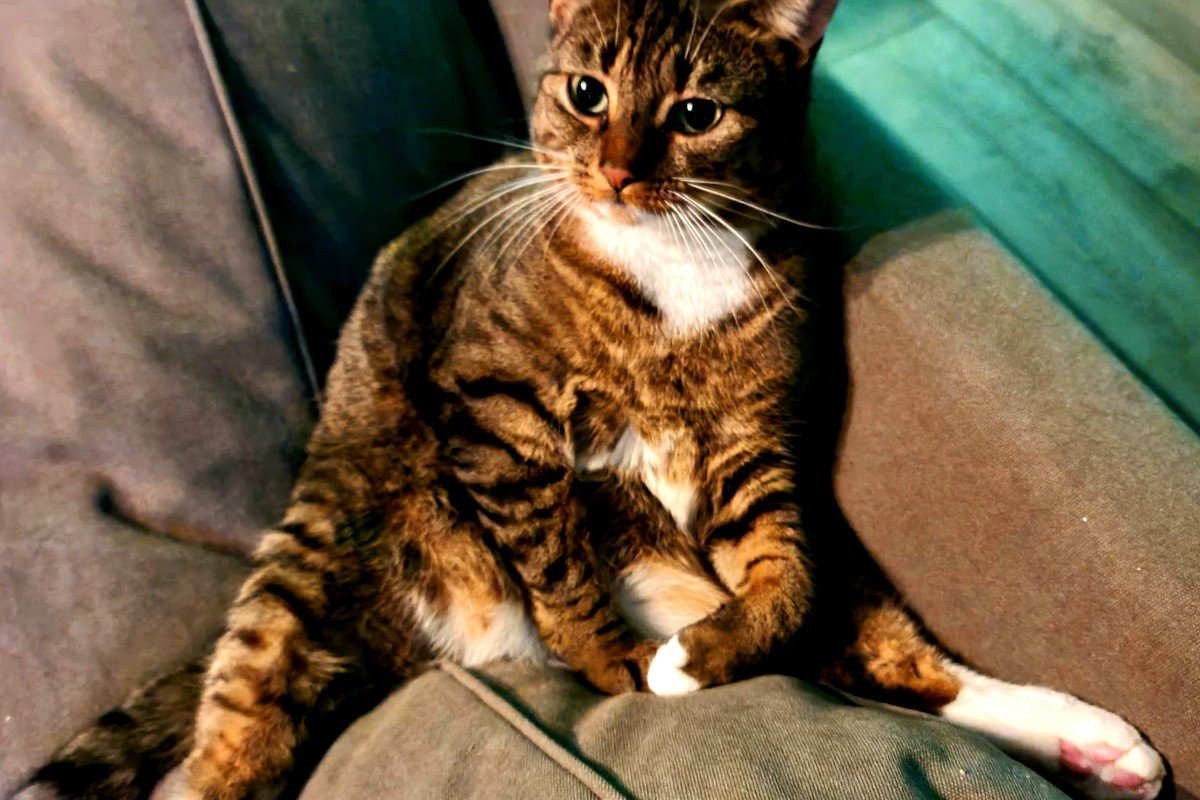Bob