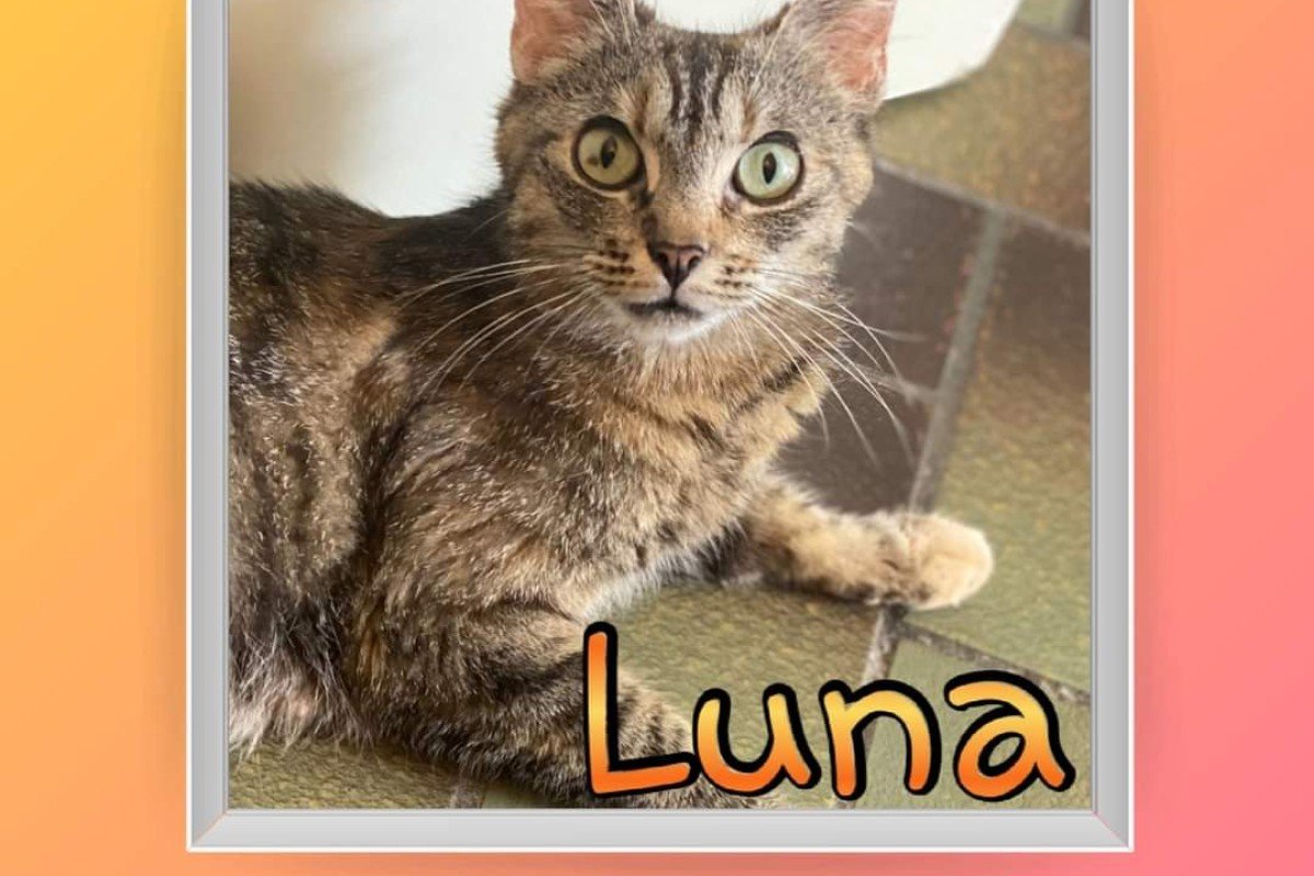 Luna