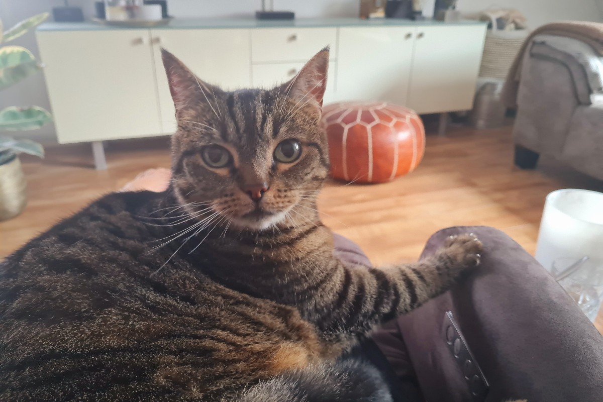 Teuntje