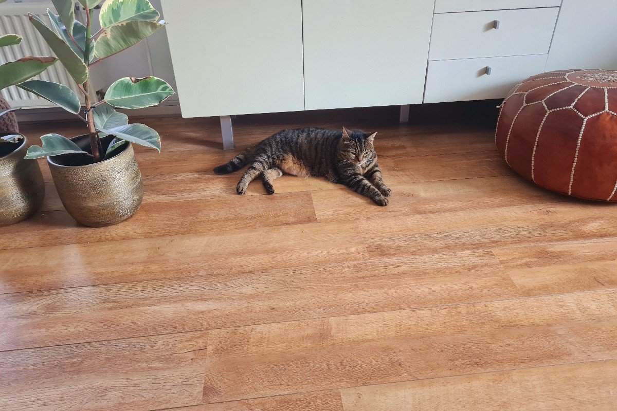 Teuntje
