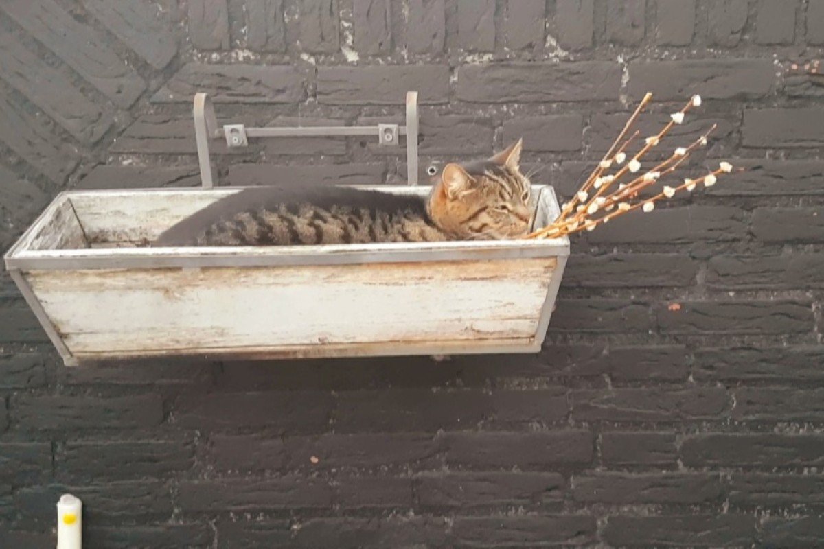 Teuntje