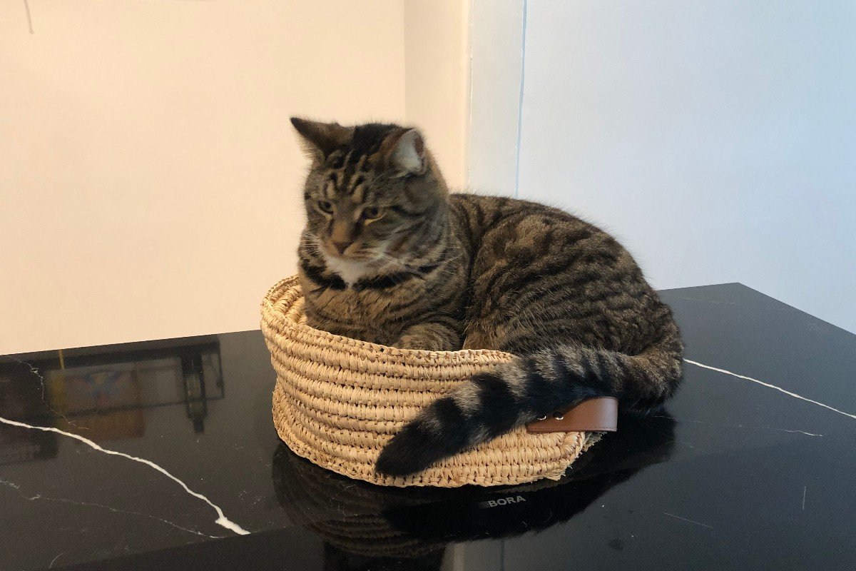 Oscar