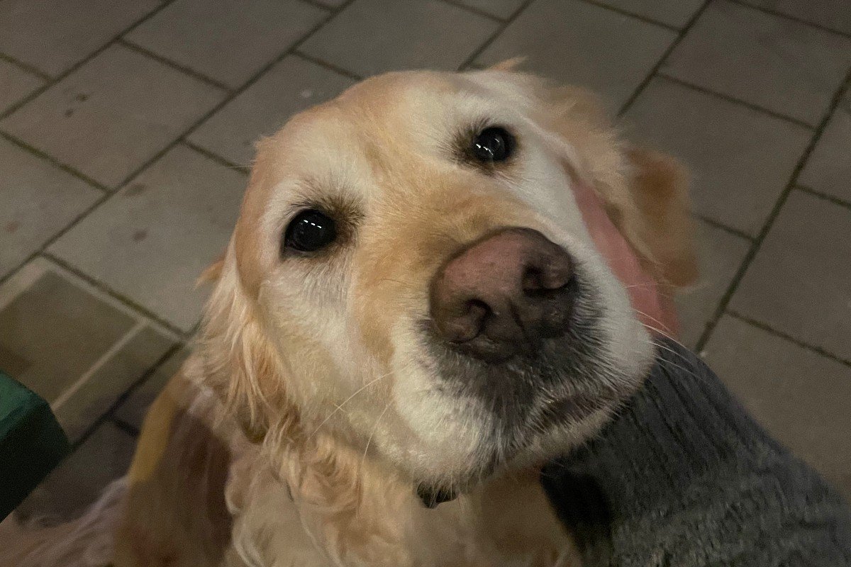 Charlie