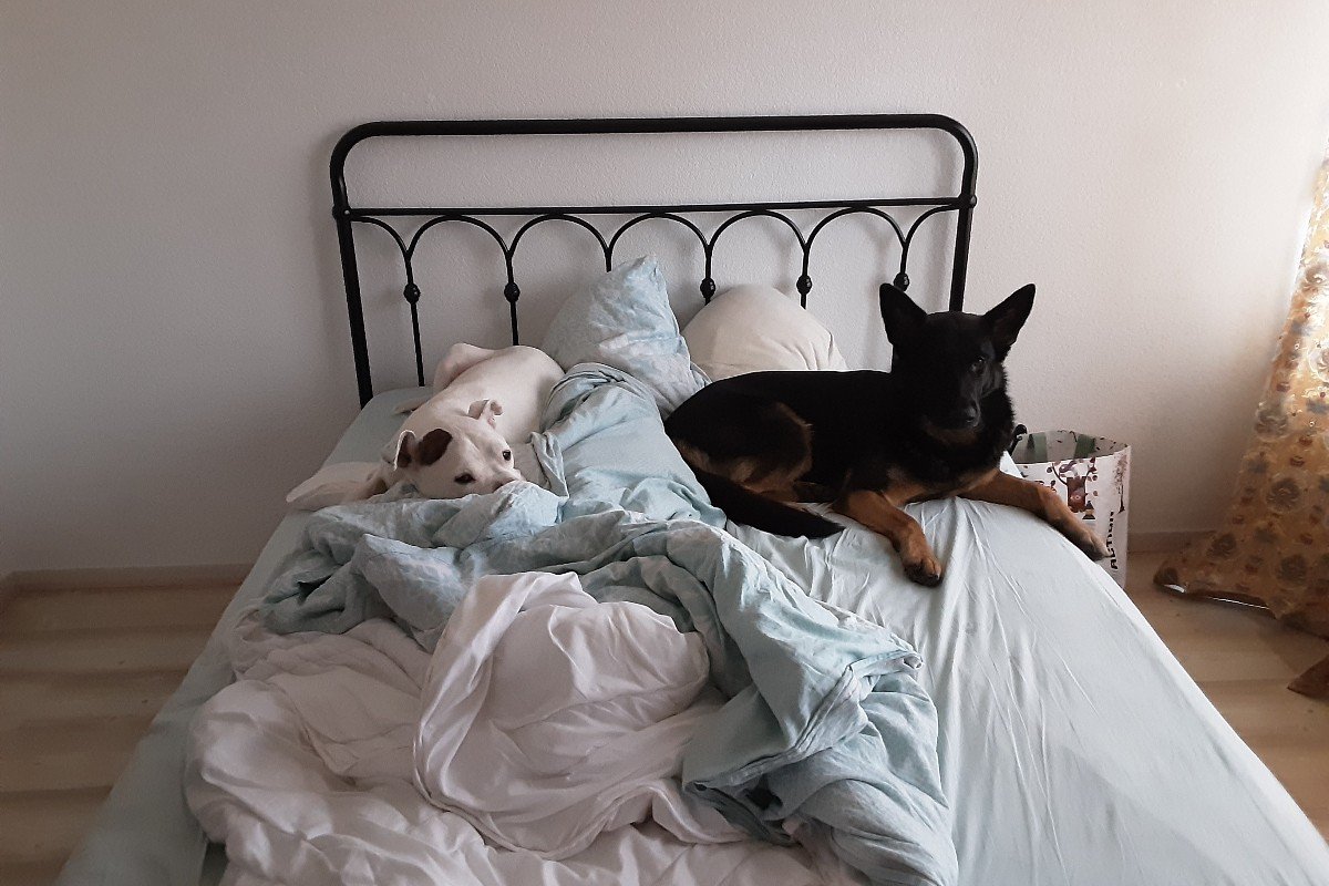 Dino en Lola