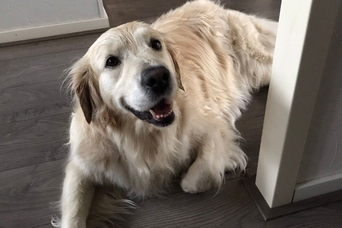 Noortje
