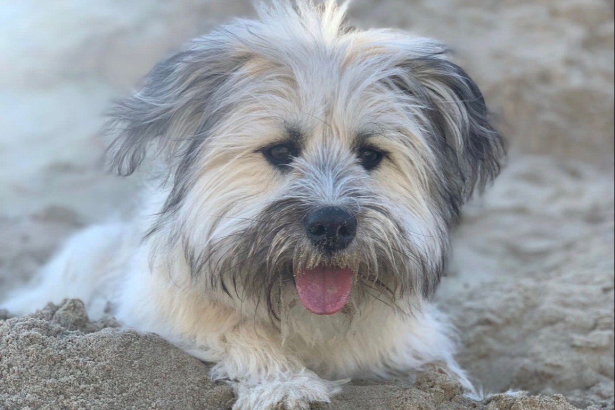 Coco