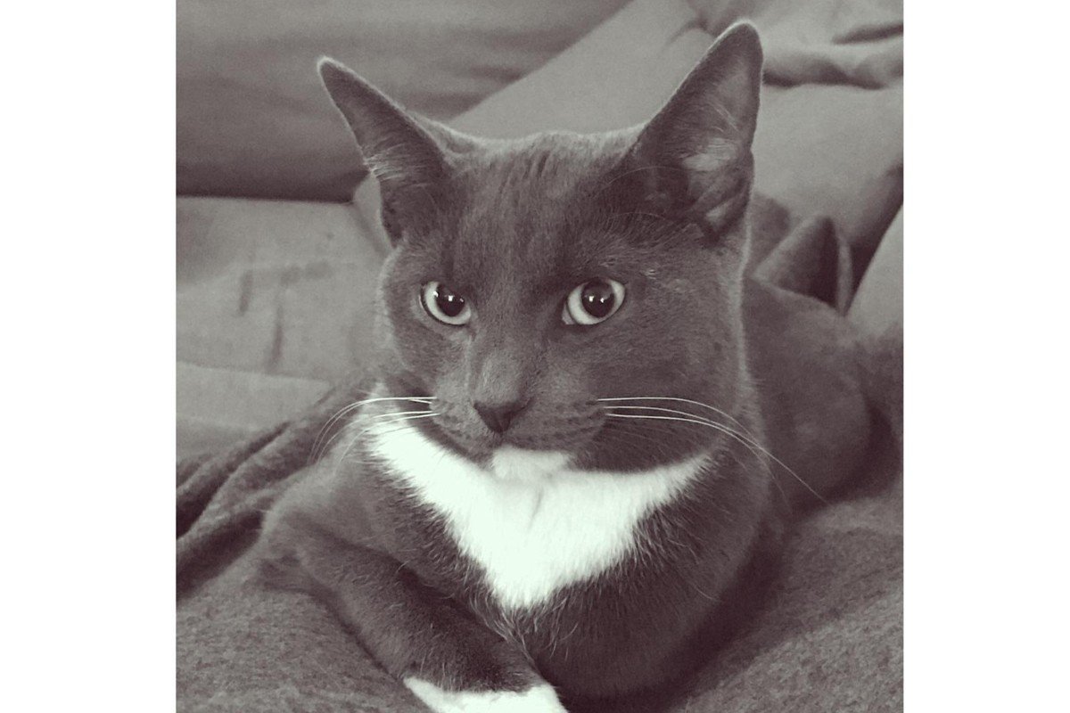 Pip