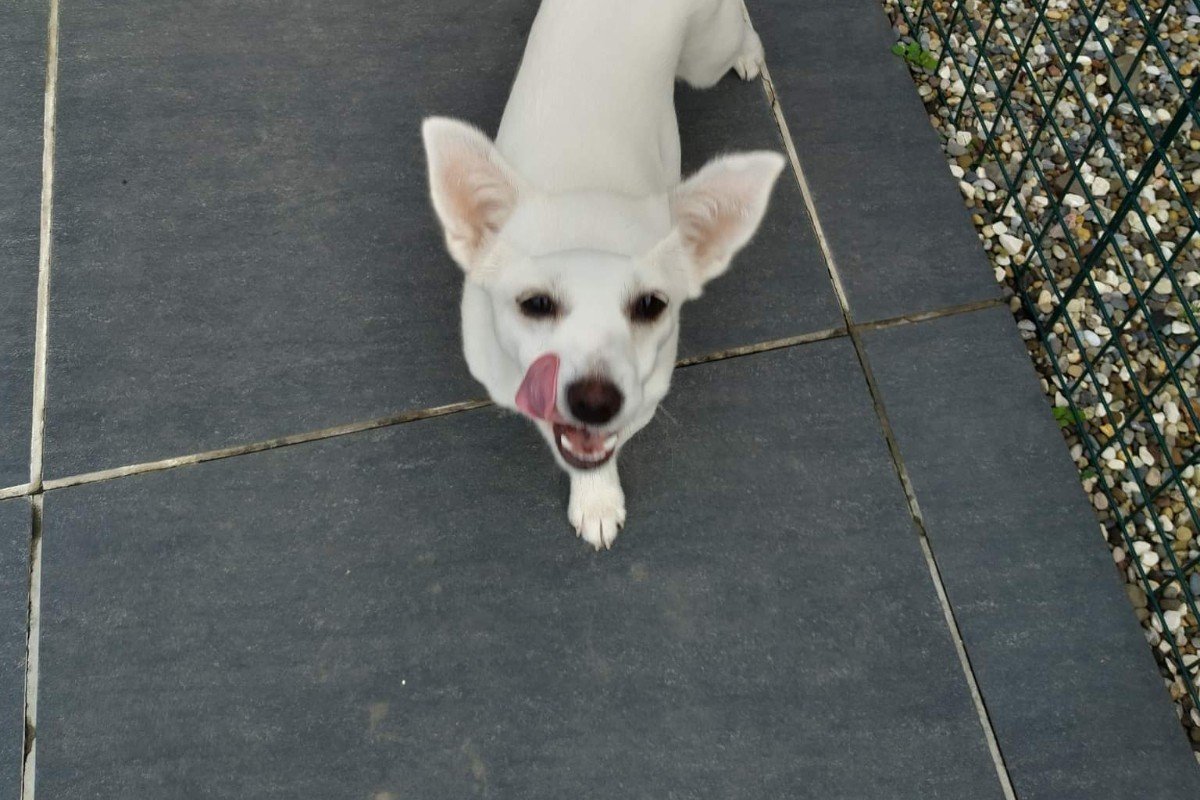 Luna
