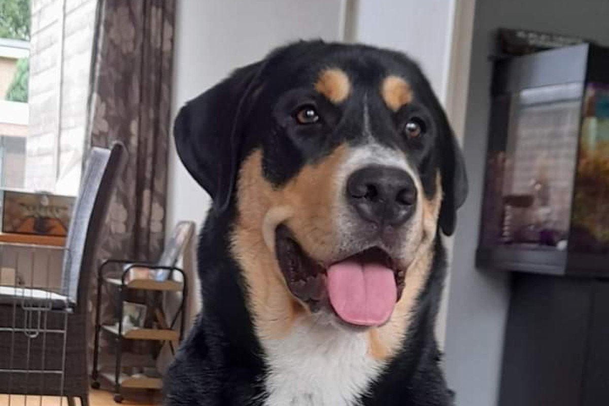Max